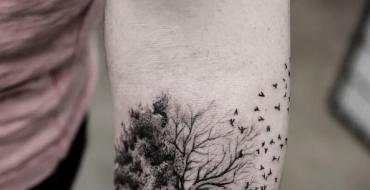 Татуировки с изображением леса